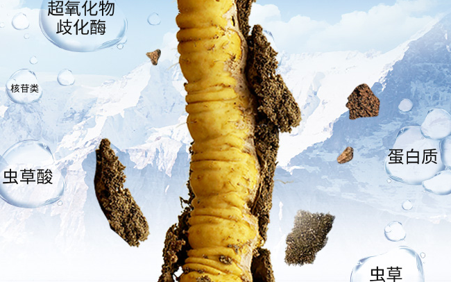 秦仁堂品牌logo與產(chǎn)品包裝設(shè)計(jì)欣賞(圖2)