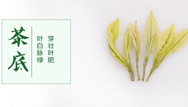 巴蜀玉葉品牌logo與產(chǎn)品包裝設(shè)計(jì)欣賞(圖2)