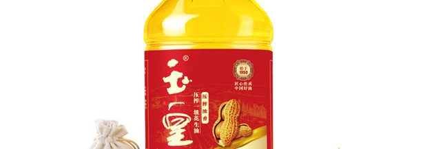 玉皇品牌logo與食品包裝設(shè)計(jì)欣賞(圖3)