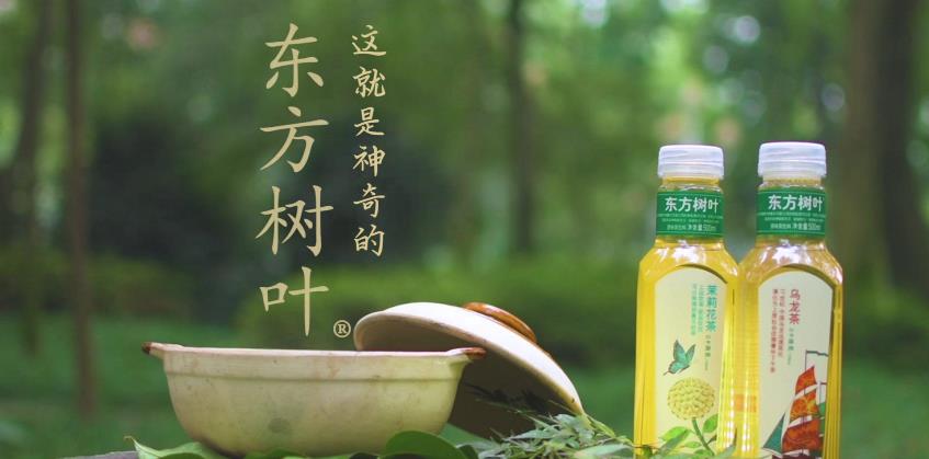 東方樹葉品牌logo與食品包裝設計欣賞(圖3)