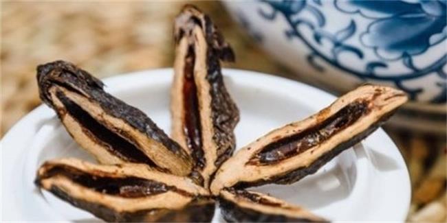 友文品牌logo與食品包裝設(shè)計(jì)欣賞(圖4)