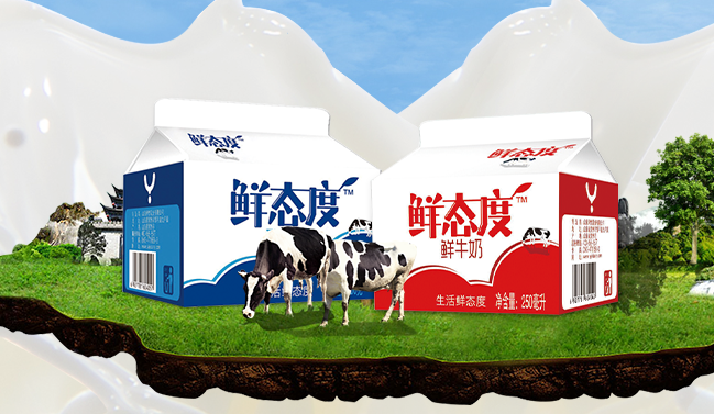 yiyi伊怡品牌logo與食品包裝設(shè)計(jì)欣賞(圖2)