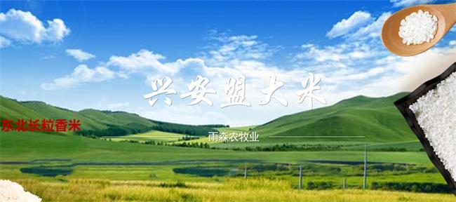 雨森品牌logo與食品包裝設(shè)計(jì)欣賞(圖2)