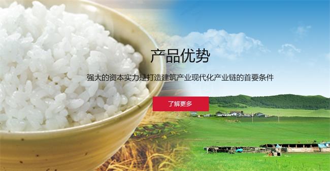 雨森品牌logo與食品包裝設(shè)計(jì)欣賞(圖4)