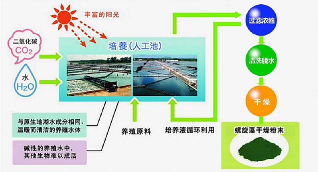 迪愛(ài)生 DIC迪愛(ài)生品牌logo與食品包裝設(shè)計(jì)欣賞(圖3)