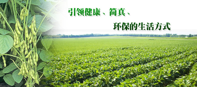 FUYIN福蔭品牌logo與食品包裝設(shè)計欣賞(圖4)