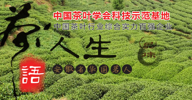 大別山品牌logo與食品包裝設(shè)計欣賞(圖2)