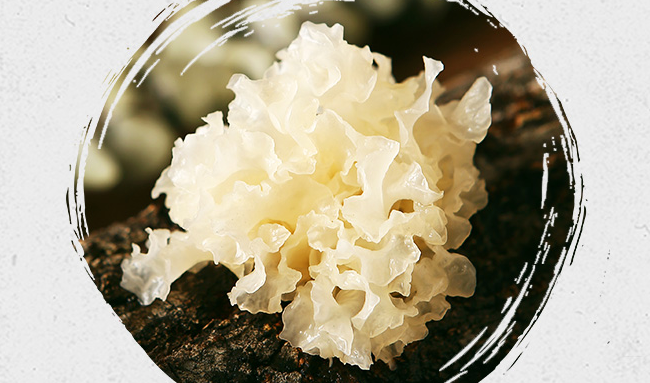 山霸王 山霸王品牌logo與食品包裝設(shè)計(jì)欣賞(圖2)