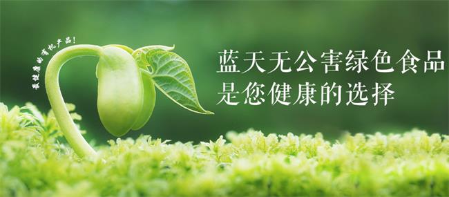 藍(lán)天果蔬 藍(lán)天果蔬品牌logo與食品包裝設(shè)計(jì)欣賞(圖3)