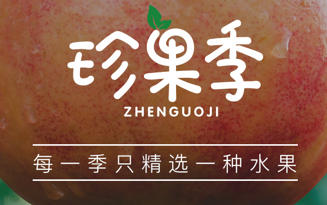 珍果季品牌logo與食品包裝設(shè)計欣賞(圖4)
