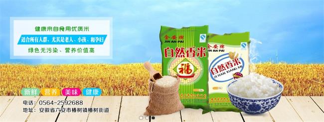 盛源品牌logo與食品包裝設(shè)計(jì)欣賞(圖3)