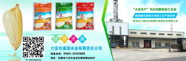 盛源品牌logo與食品包裝設(shè)計(jì)欣賞(圖4)