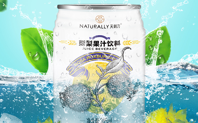 天刺力品牌logo與食品包裝設(shè)計(jì)欣賞(圖2)