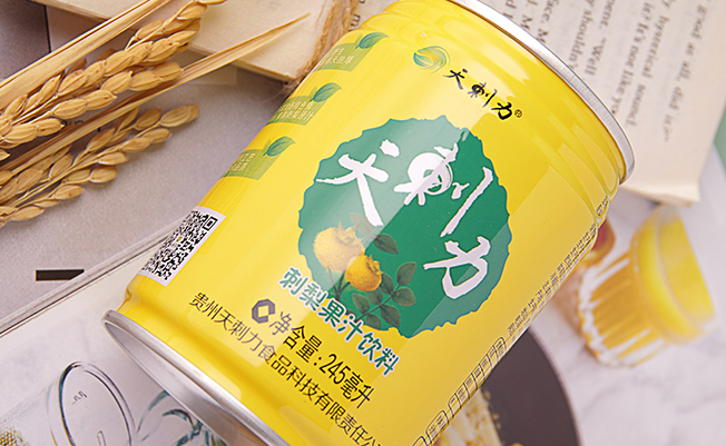 天刺力品牌logo與食品包裝設(shè)計(jì)欣賞(圖3)