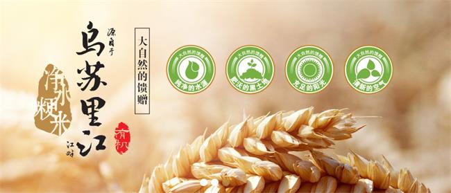 中順凈水品牌logo與食品包裝設(shè)計欣賞(圖2)