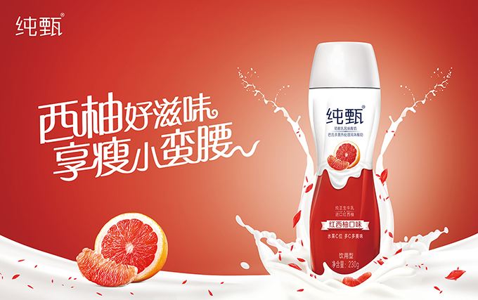 純甄品牌logo與食品包裝設(shè)計欣賞(圖4)
