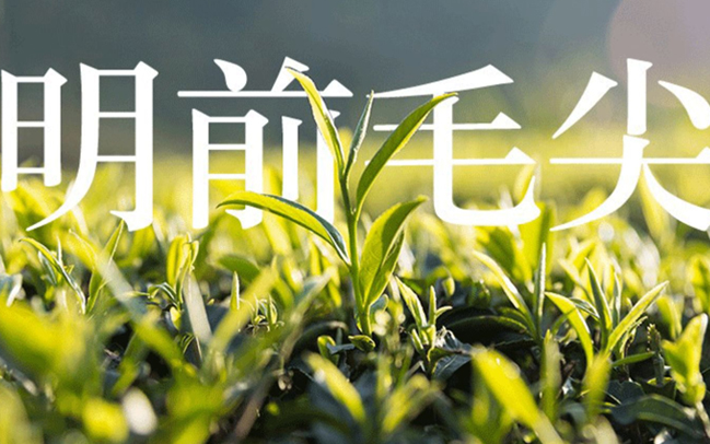 花枝茶業(yè)品牌logo與食品包裝設計欣賞(圖3)