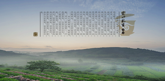 蒙山龍霧茶 蒙山龍霧食品包裝設(shè)計(jì)欣賞(圖2)