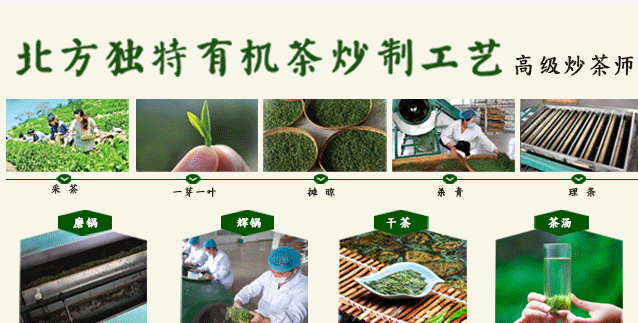 蒙山龍霧茶 蒙山龍霧食品包裝設(shè)計(jì)欣賞(圖3)