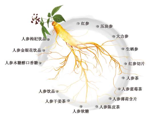 益盛藥業(yè)食品包裝設(shè)計(jì)欣賞(圖2)