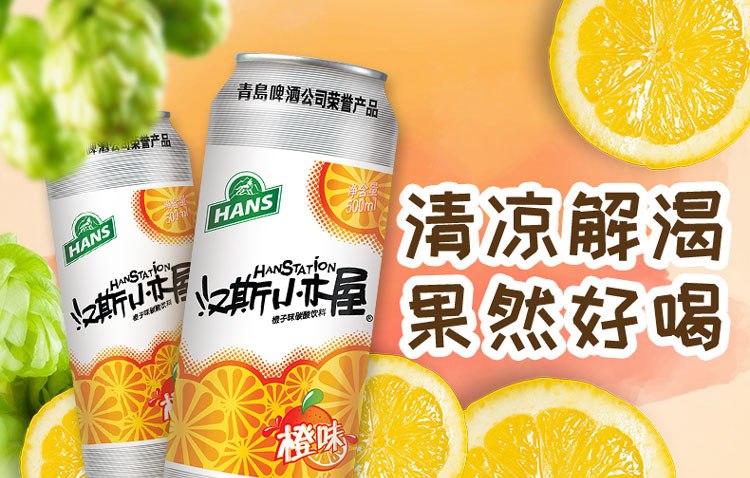 漢斯啤酒HANS食品包裝設計欣賞(圖2)