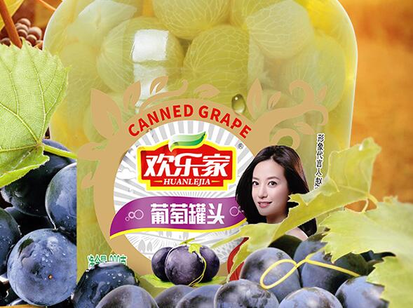 歡樂家HUANLEJIA食品包裝設(shè)計欣賞(圖2)