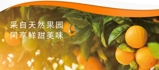 TONGFA同發(fā)食品包裝設(shè)計欣賞(圖2)