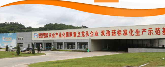 TONGFA同發(fā)食品包裝設(shè)計欣賞(圖3)