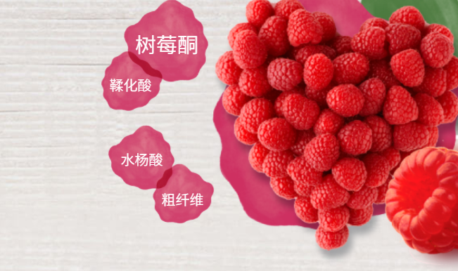 Driscolls怡顆莓食品包裝設(shè)計(jì)欣賞(圖2)