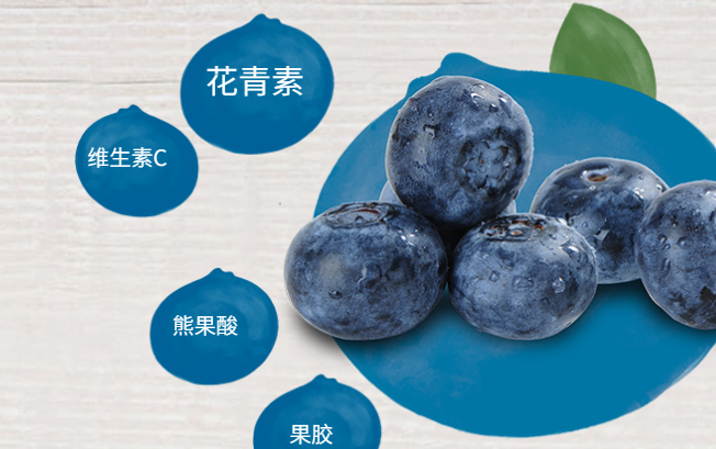 Driscolls怡顆莓食品包裝設(shè)計(jì)欣賞(圖3)