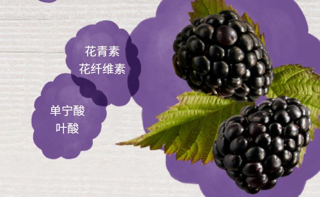 Driscolls怡顆莓食品包裝設(shè)計(jì)欣賞(圖4)
