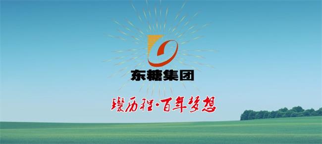 白蓮牌食品包裝設計欣賞(圖2)