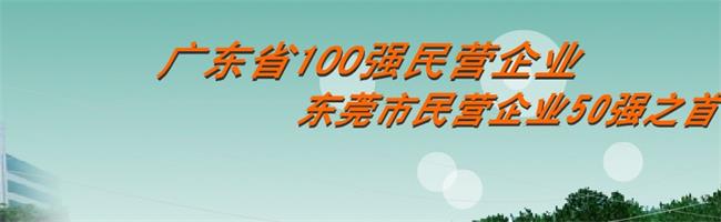 白蓮牌食品包裝設計欣賞(圖4)