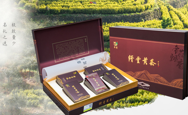 軒黃 軒黃食品包裝設(shè)計(jì)欣賞(圖2)