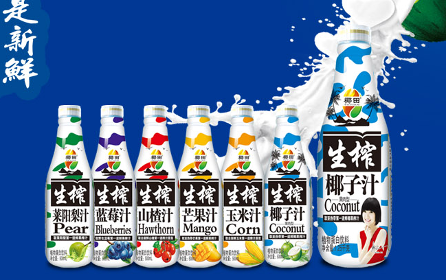 椰田食品包裝設(shè)計欣賞(圖4)