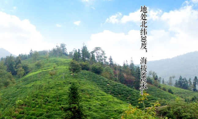 山塢垅食品包裝設(shè)計(jì)欣賞(圖4)