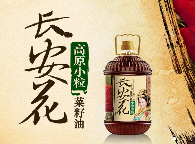 長安花食品包裝設計欣賞(圖2)