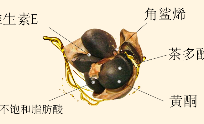齊云山食品包裝設計欣賞(圖4)